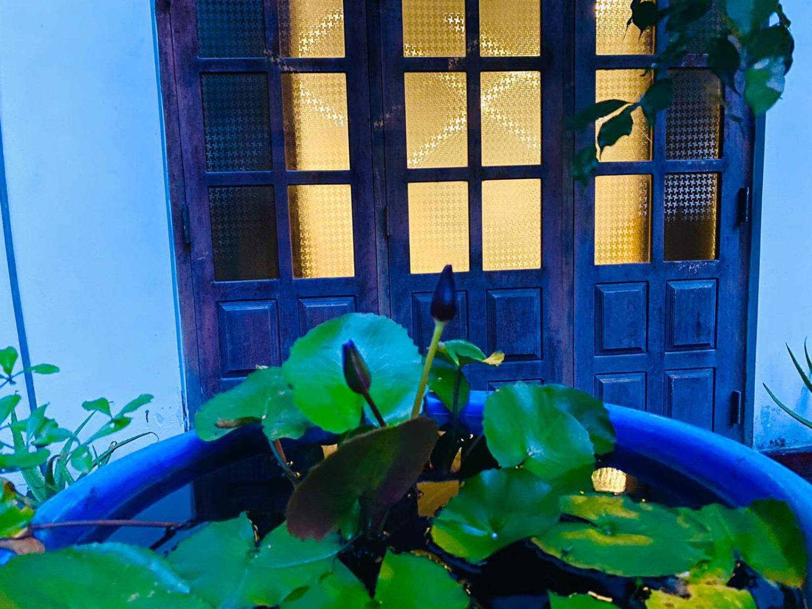 Sachi'S Place Tangalle Exterior photo